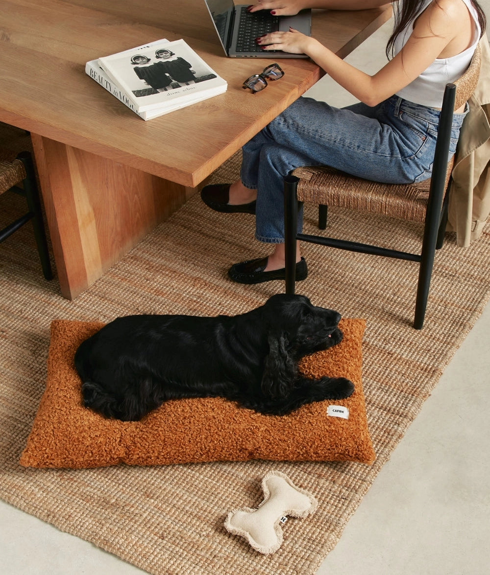 BELA HUNDEKISSEN MIT TEDDYFELL (ORANGE)