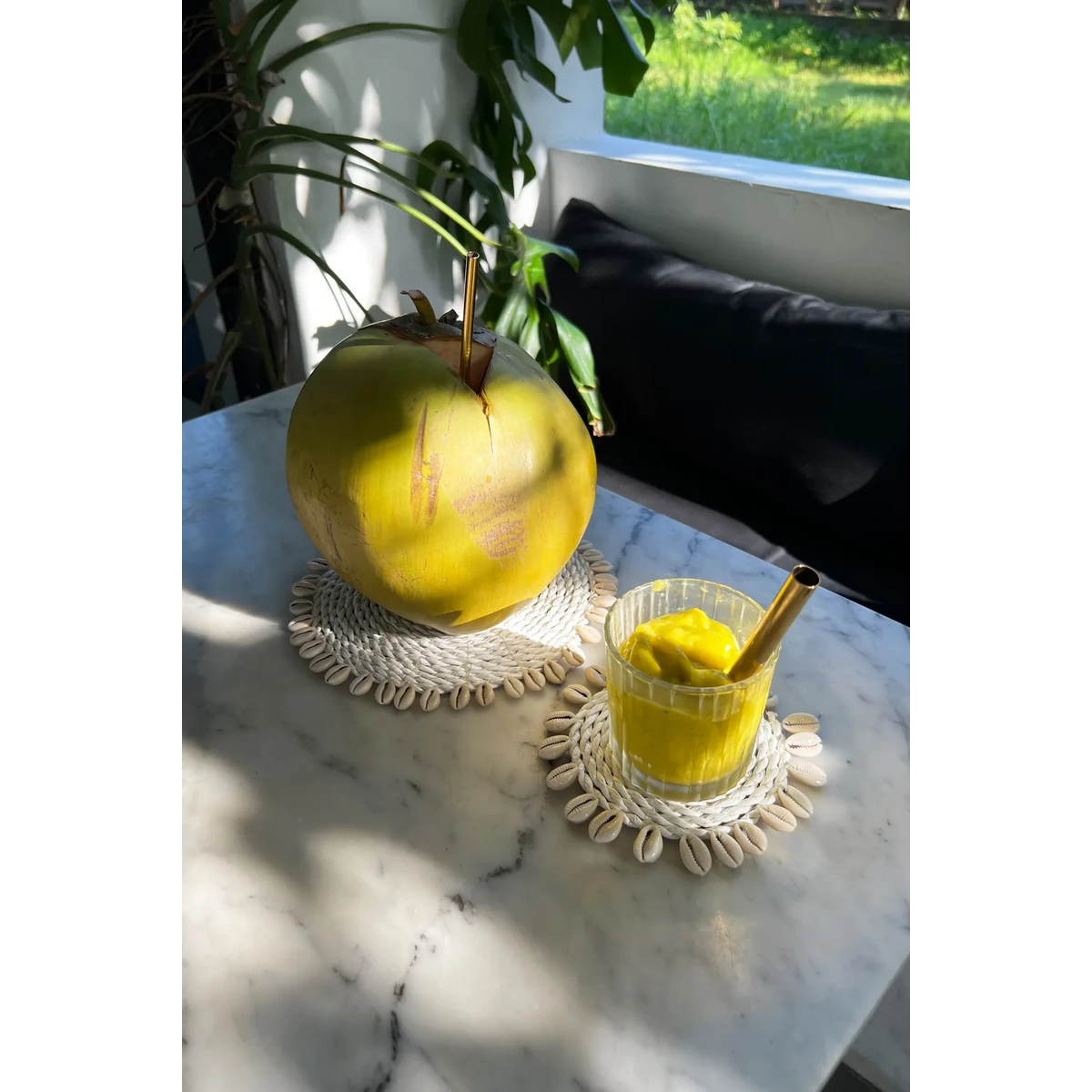 SEEGRAS UNTERSETZER MIT MUSCHELN (WEIß)