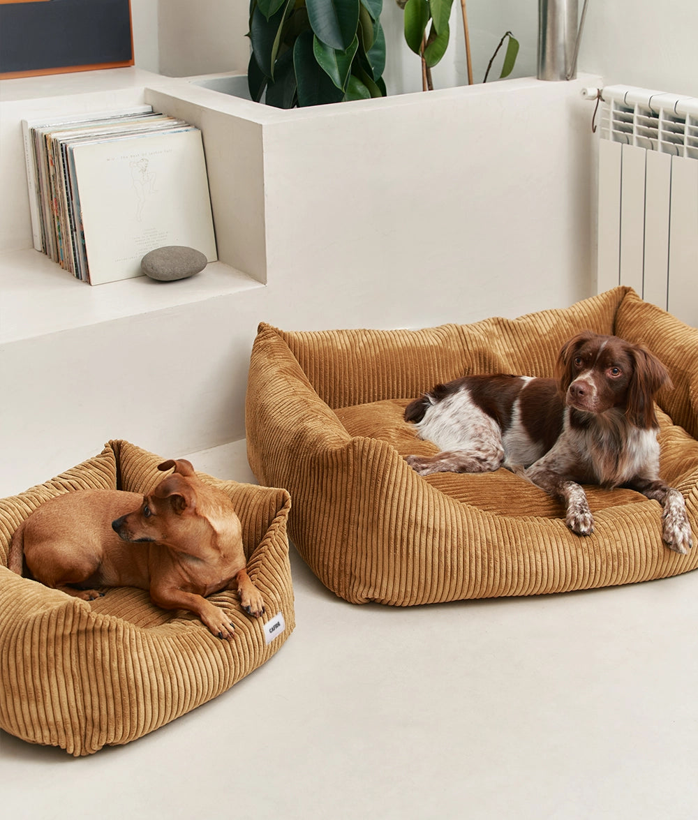 SNOZY HUNDEBETT AUS CORD (SENF)