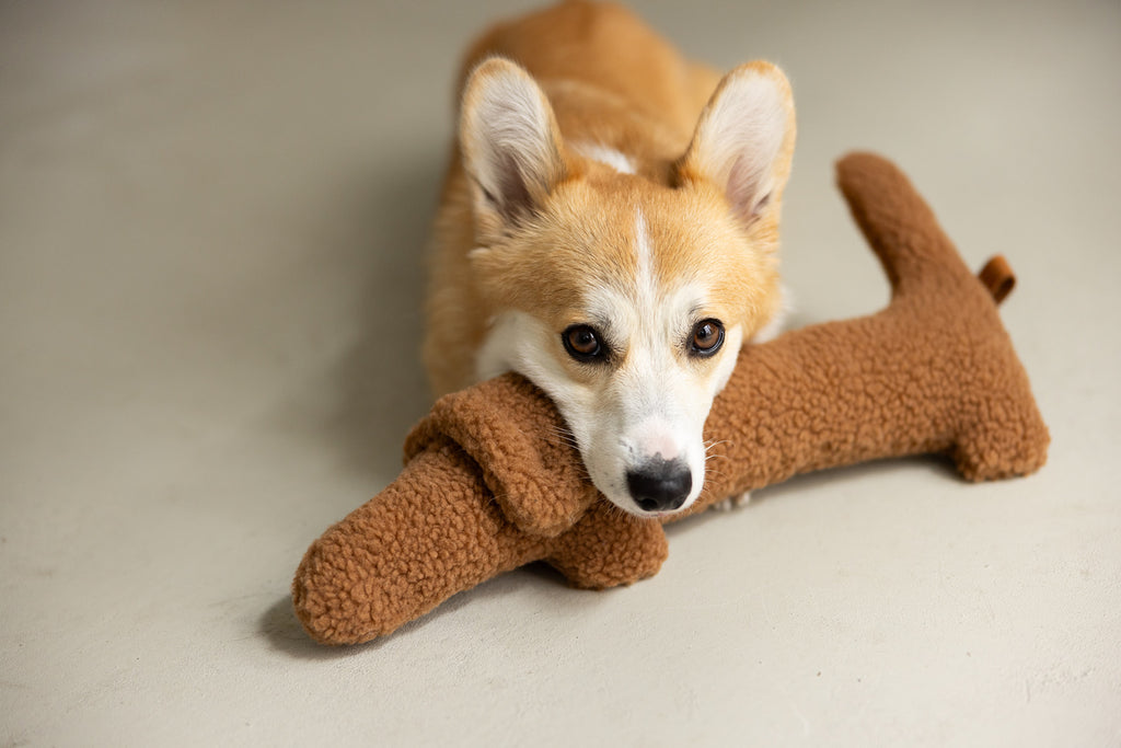 HUNDESPIELZEUG DACKEL
