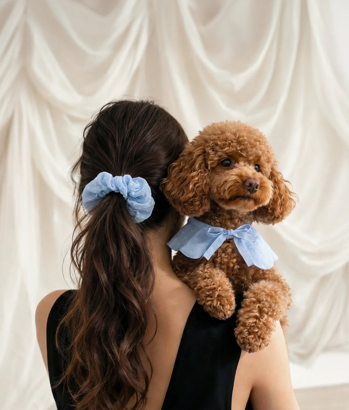 HUNDE RÜSCHENKRAGEN (BLAU)