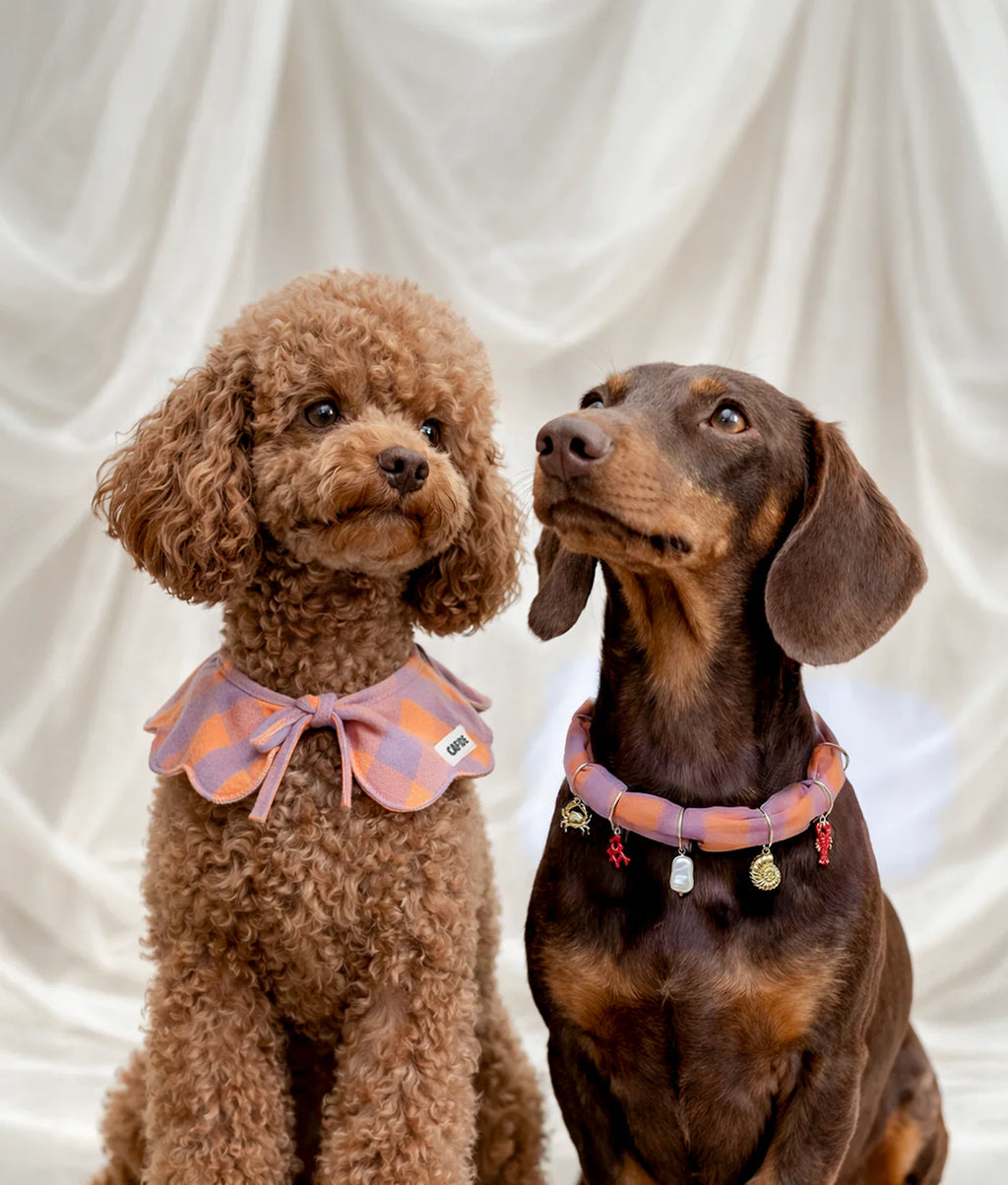 HUNDE RÜSCHENKRAGEN (PINK)