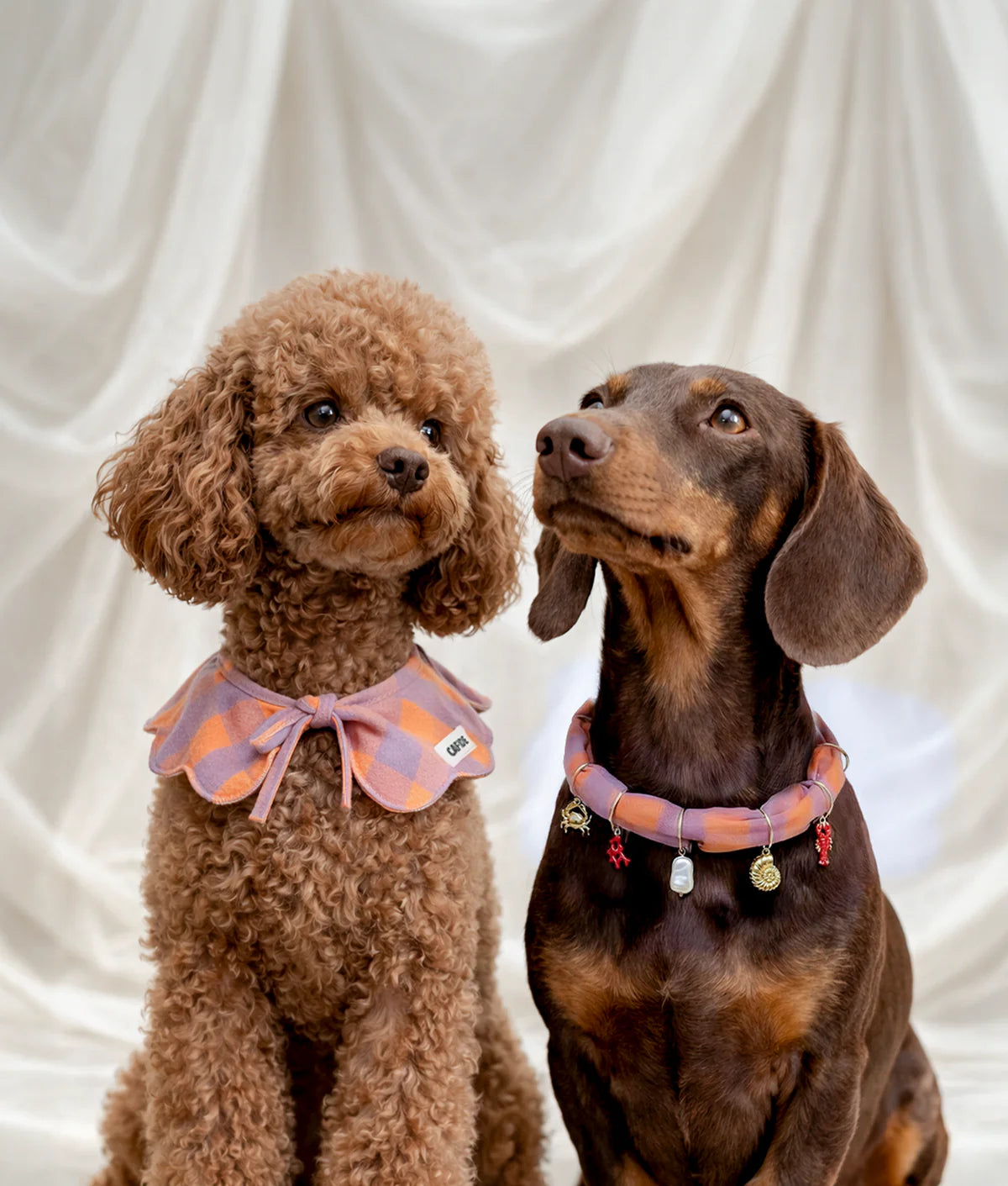 HUNDE RÜSCHENKRAGEN (PINK)